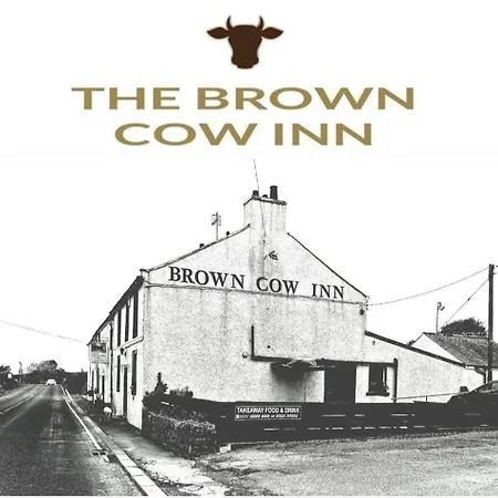 Brown Cow *