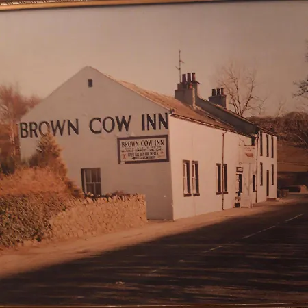 Brown Cow Отель типа 