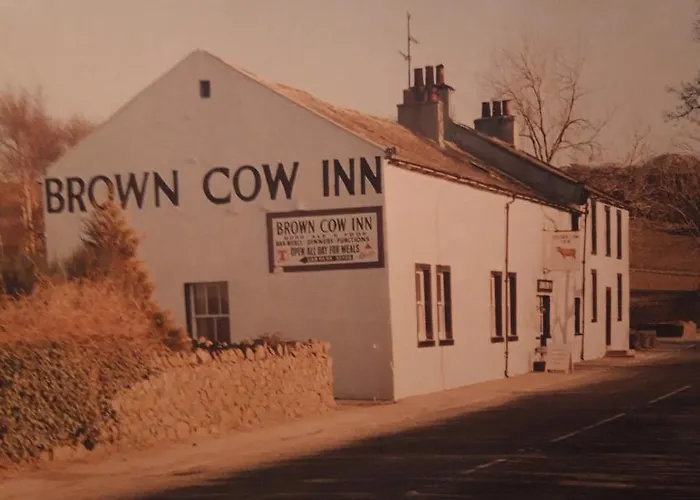 Brown Cow Bed & Breakfast