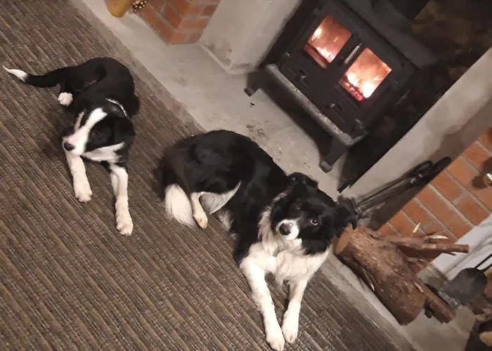 Bed & Breakfast Brown Cow *