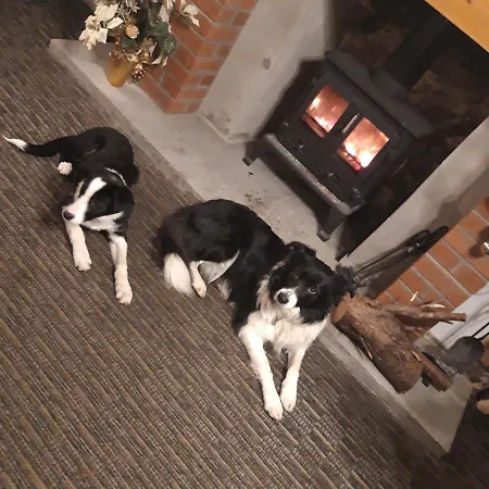 Bed & Breakfast Brown Cow *